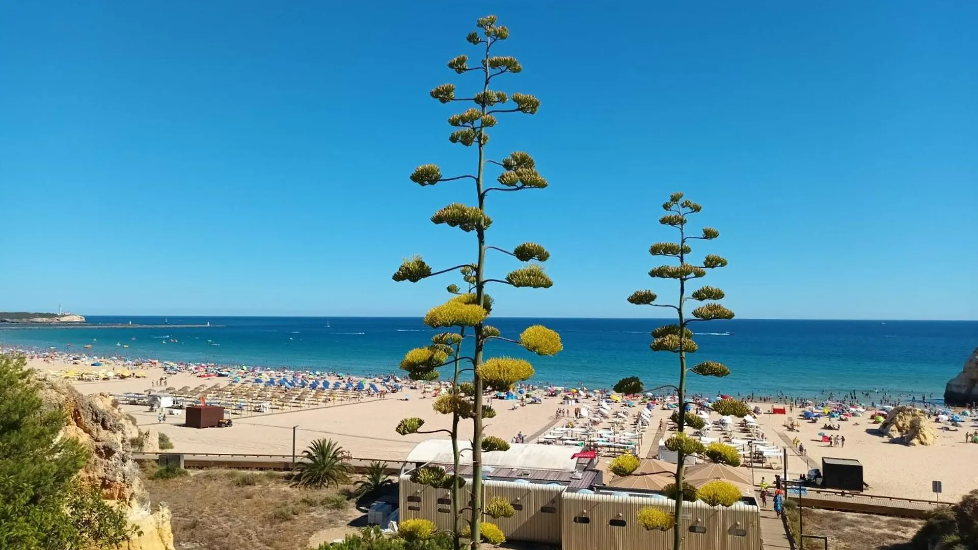 Luxury 2 Min Beach With Balcony, Ocean View, Wifi, Ac, Smarttv Portugal